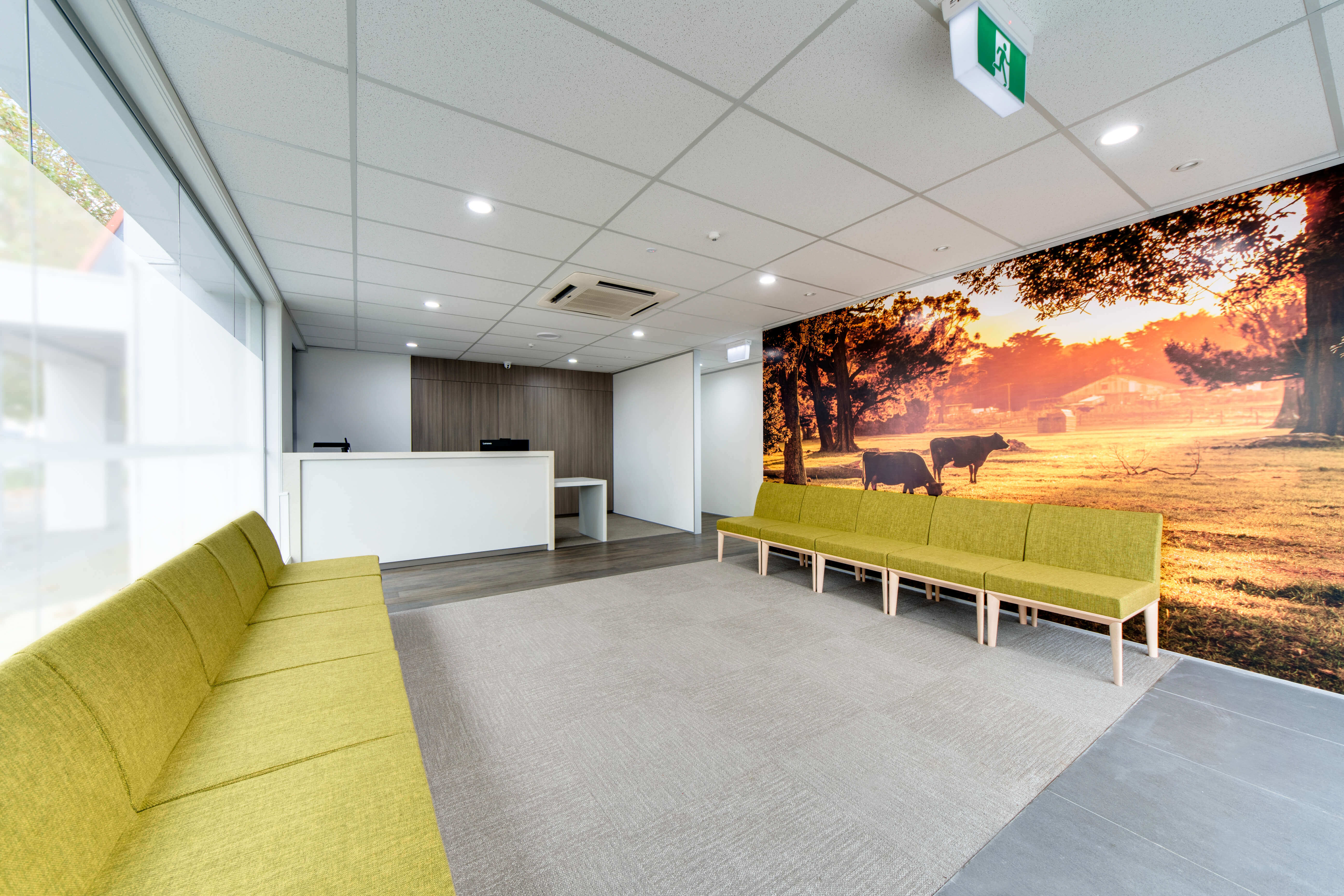 dental fitout interior