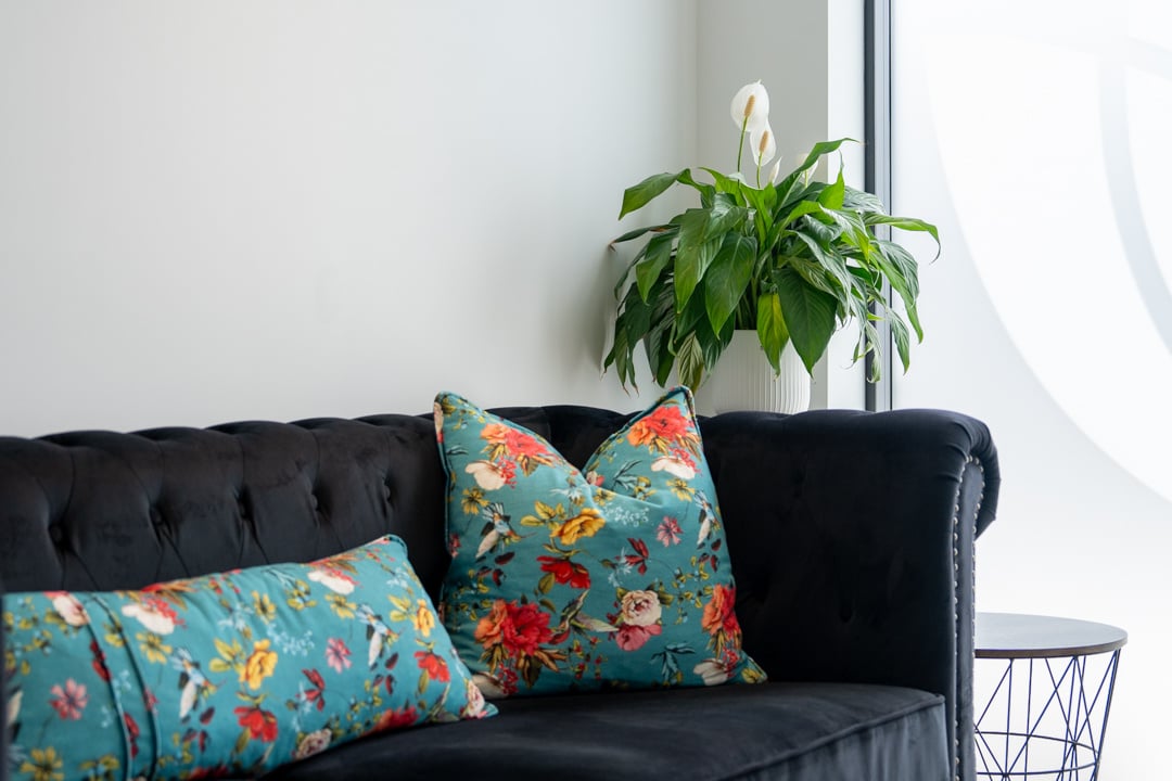 The Smile Clinic Waiting Room