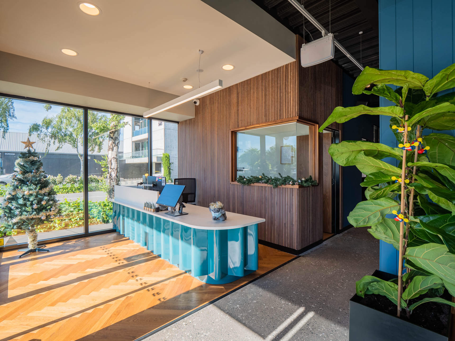 Peak Orthodontics reception